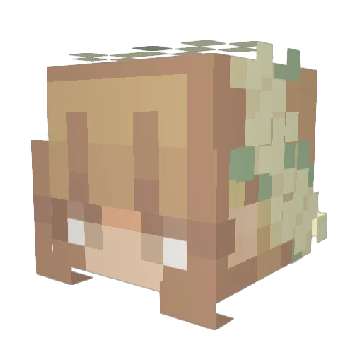 Ladyfin5 Minecraft avatar head, 3D render