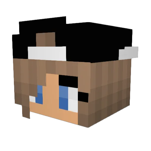 Ladypurple13 Minecraft avatar head, 3D render