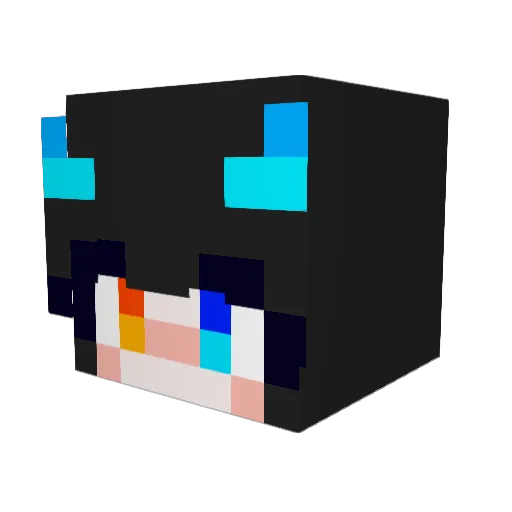 Ladyvat Minecraft avatar head, 3D render
