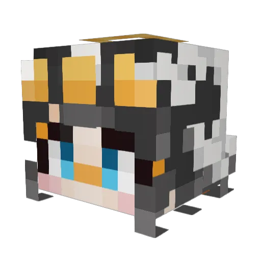LaegisFortuna Minecraft avatar head, 3D render