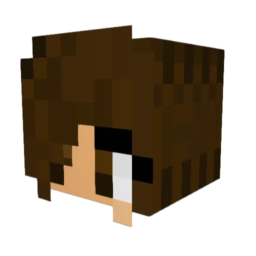 Laell04 Minecraft avatar head, 3D render