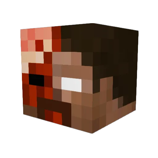 Laendri Minecraft avatar head, 3D render