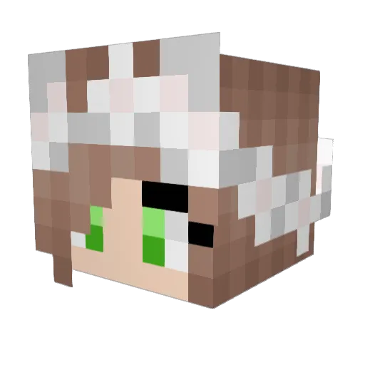 Laetitia_au Minecraft avatar head, 3D render