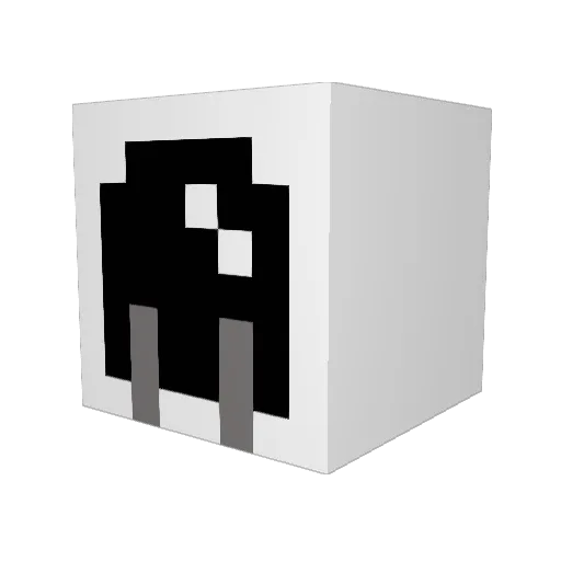 Laevus1 Minecraft avatar head, 3D render