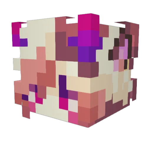 Lafi_ Minecraft avatar head, 3D render