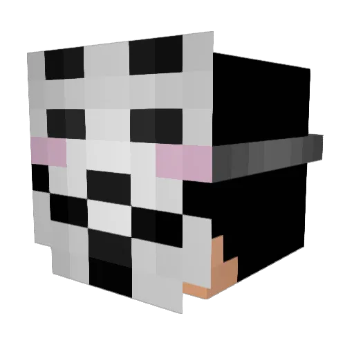 Lafida Minecraft avatar head, 3D render