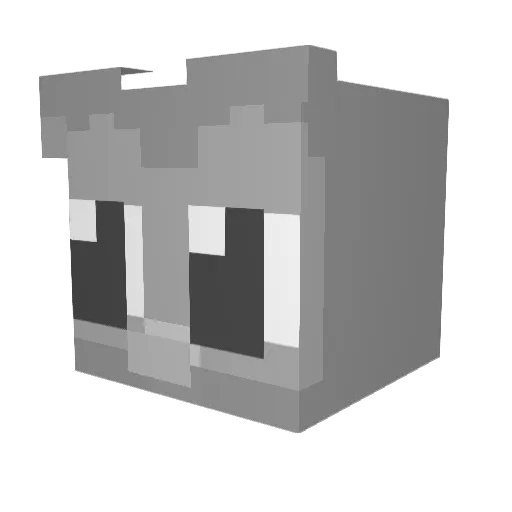 Laflame430 Minecraft avatar head, 3D render