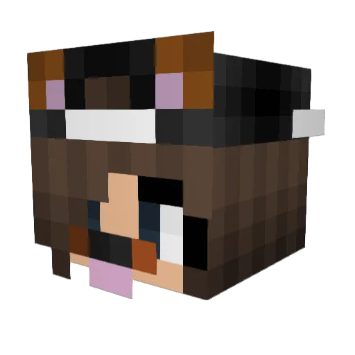 Lafo2691 Minecraft avatar head, 3D render