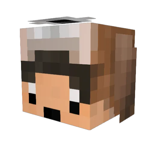 LafuDog Minecraft avatar head, 3D render
