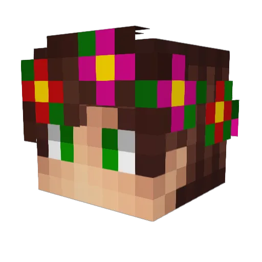 LagBandit Minecraft avatar head, 3D render
