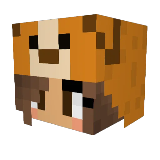 LagPixelNet Minecraft avatar head, 3D render
