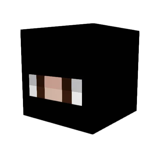 Lagartixxaa Minecraft avatar head, 3D render