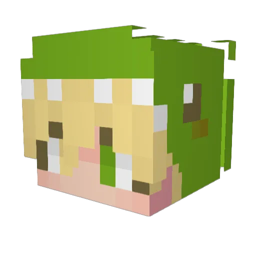 Lago2713 Minecraft avatar head, 3D render