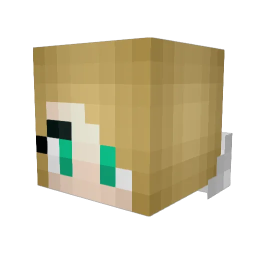 Lagoona2002 Minecraft avatar head, 3D render