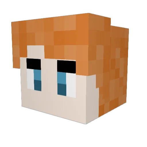 Lagoongoober2 Minecraft avatar head, 3D render