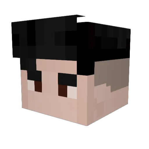 Laguna6923 Minecraft avatar head, 3D render