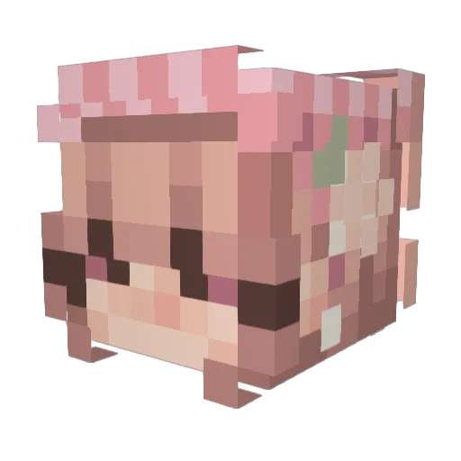 LahnaXo Minecraft avatar head, 3D render