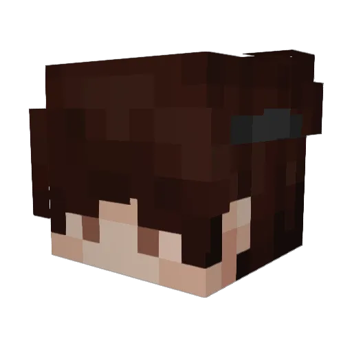 LaiFeng_GG Minecraft avatar head, 3D render
