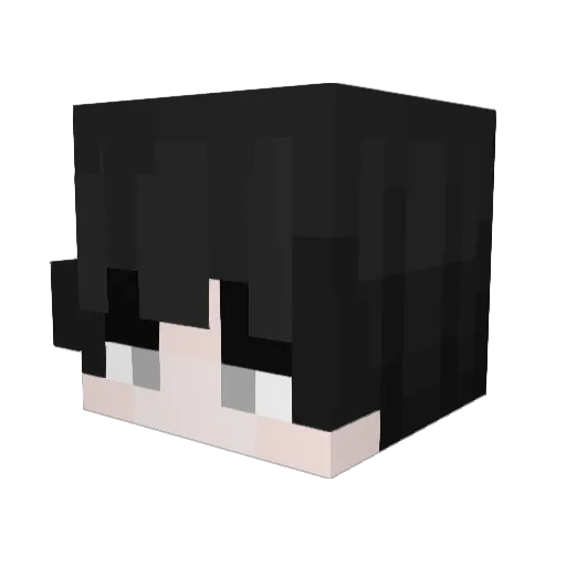 LaiZyHero Minecraft avatar head, 3D render