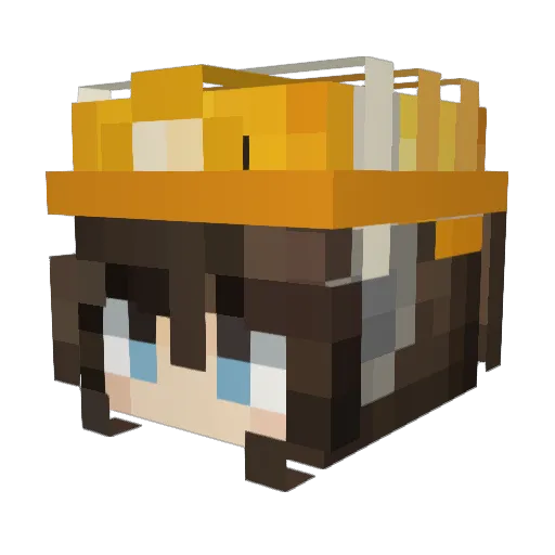 Laicier_6963 Minecraft avatar head, 3D render