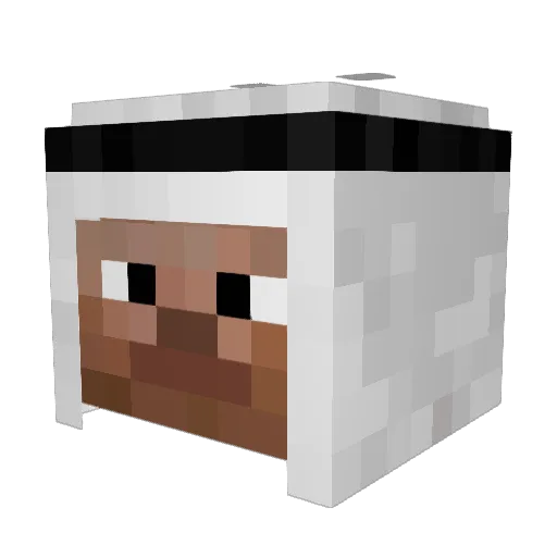 Laidas Minecraft avatar head, 3D render
