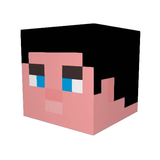 LaidbackLewis Minecraft avatar head, 3D render