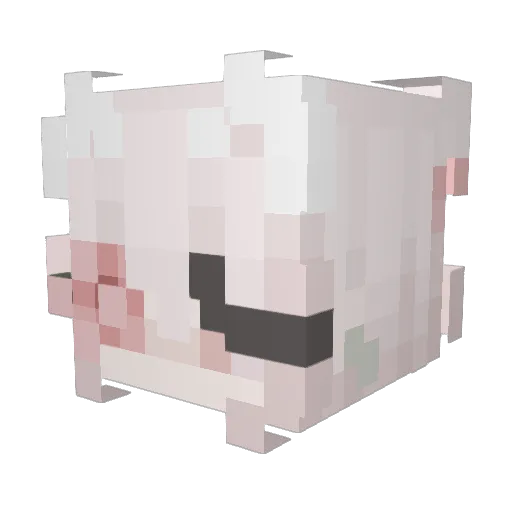 LaiiTheDreamer Minecraft avatar head, 3D render