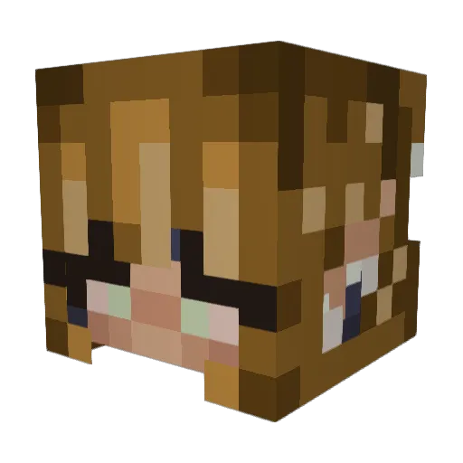 Lainey576 Minecraft avatar head, 3D render