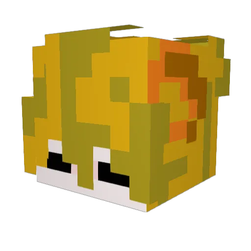 Lair0n_ Minecraft avatar head, 3D render