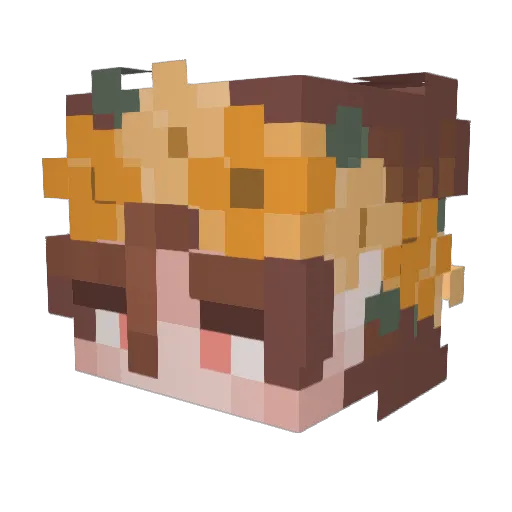 Lairtles Minecraft avatar head, 3D render