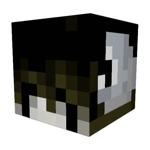 Lais_deCzips Minecraft avatar head, 3D render