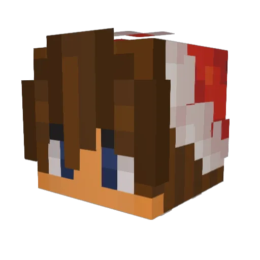 Laitnix77 Minecraft avatar head, 3D render