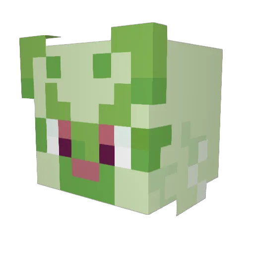 LakayForce Minecraft avatar head, 3D render