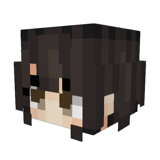 Lake_is_Ace Minecraft avatar head, 3D render