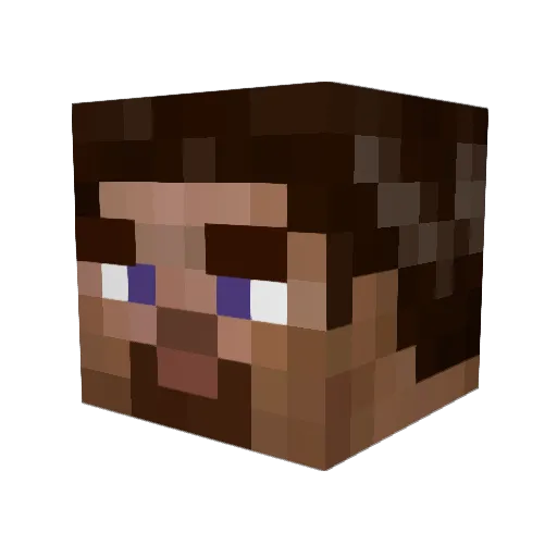 Lakebloomer Minecraft avatar head, 3D render