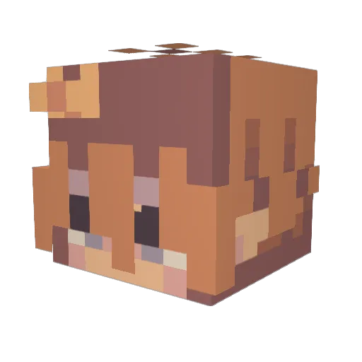 Lakiee Minecraft avatar head, 3D render