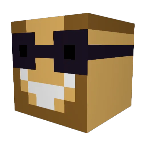 Lakota24 Minecraft avatar head, 3D render