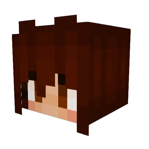 LalaTimeMew Minecraft avatar head, 3D render