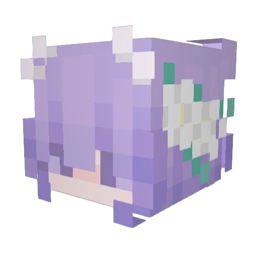 Laleidyxd Minecraft avatar head, 3D render