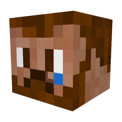 Lali420 Minecraft avatar head, 3D render