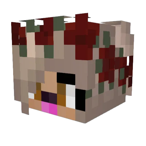 Lalila_44 Minecraft avatar head, 3D render