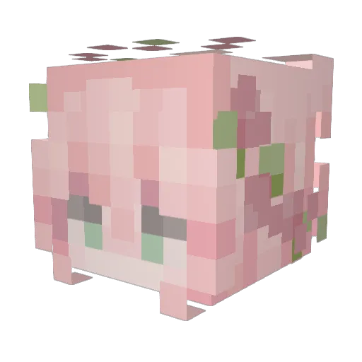 Lalilara Minecraft avatar head, 3D render