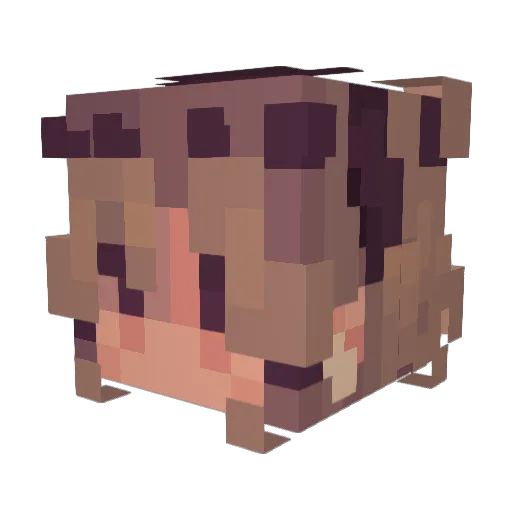 LallaMoonn Minecraft avatar head, 3D render