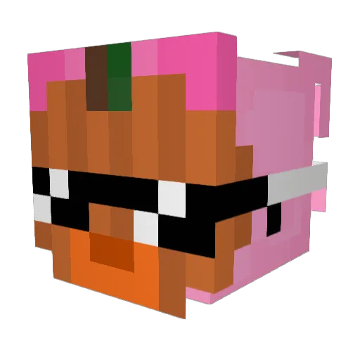 LallamamutanteMC Minecraft avatar head, 3D render