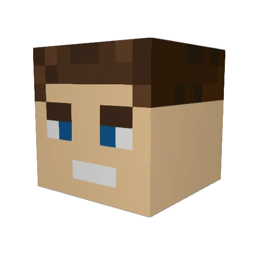 Lallemand Minecraft avatar head, 3D render