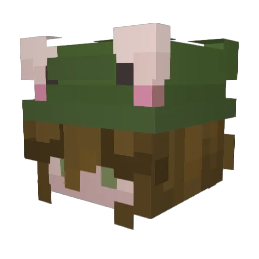 Lalocomotora24 Minecraft avatar head, 3D render