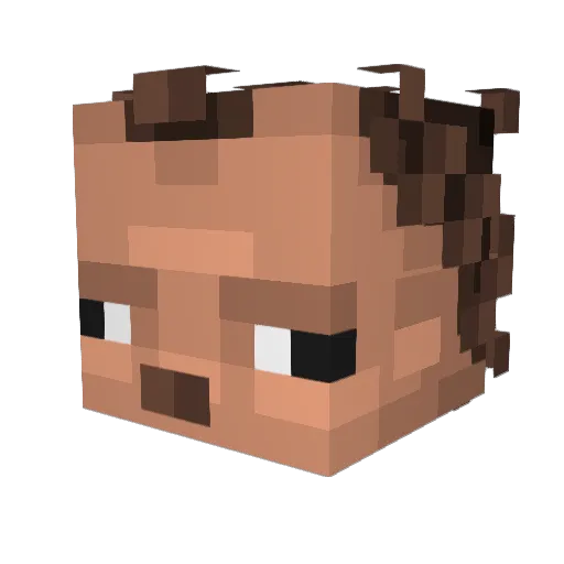 Laloo Minecraft avatar head, 3D render