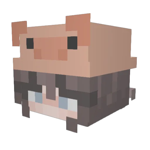 Laloush Minecraft avatar head, 3D render