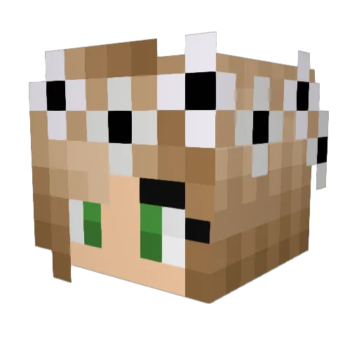 Lalulette Minecraft avatar head, 3D render