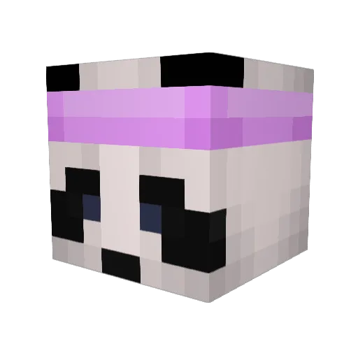 Lama1706 Minecraft avatar head, 3D render